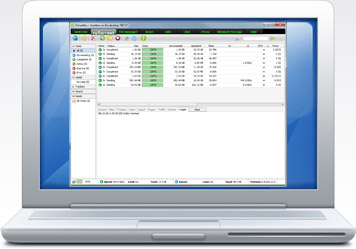 Seedbox in desktop screenshot showing ruTorrent default view