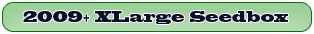 2009+ X2 100Mbps Extra Large Seedbox